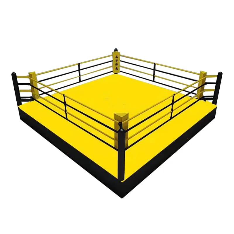 Best Design 3*3m Custom Boxing Ring Accepts OEM and ODM Boxing Sack Manubri Fitness Glove for Kids Games