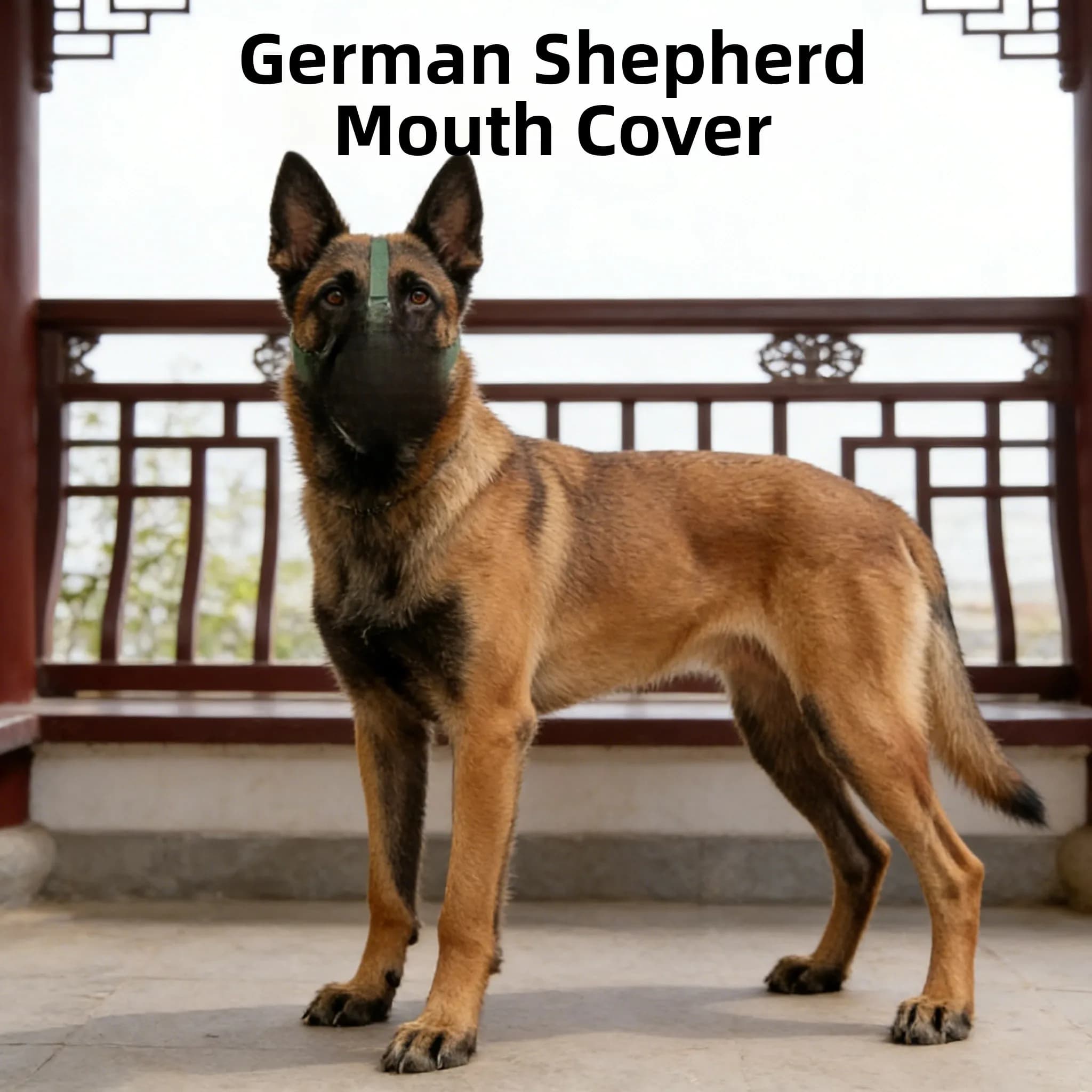 Maschera per cani con imbracatura, anti-morso, per addestramento, viaggio, abbeveratoio, maschera per la bocca del cane, attrezzatura per l'addestramento del cane