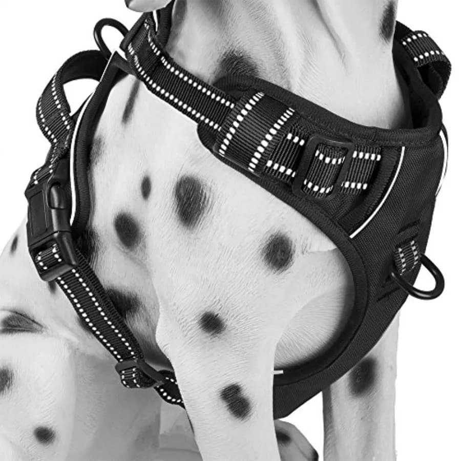 Pettorina per Cani Riflettente e Confortevole con 2 Attacchi per Guinzaglio Anteriore e Posteriore e Maniglia di Controllo Facile Regolabile