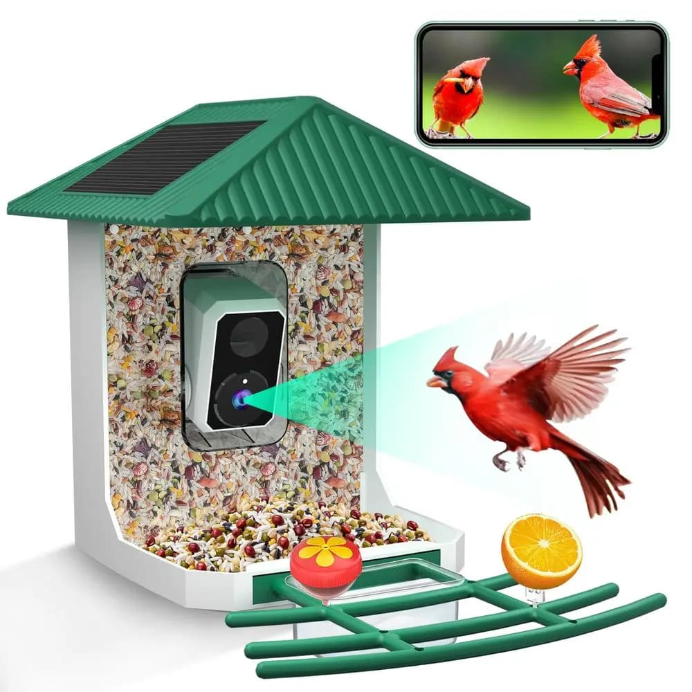 Mangiatoia per Uccelli Intelligente con Telecamera, WiFi 2.4G 5G, Pannello Solare, Identificazione AI, Visualizzazione in Diretta, Registrazione Video degli Uccelli