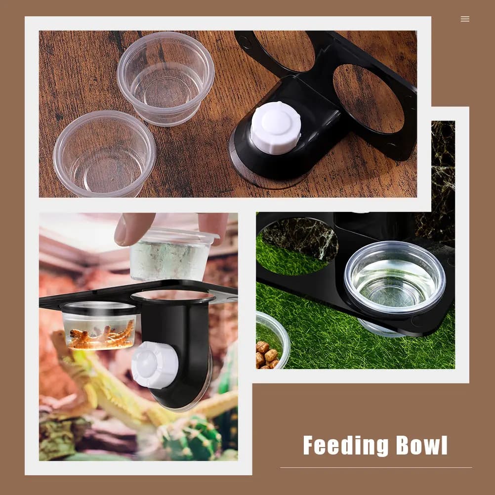 2 Pezzi Ciotole per Rettili, Contenitore Doppio Stabile per Alimenti e Acqua, Ciotola Anti-Fuga per Rettili e Animali Striscianti