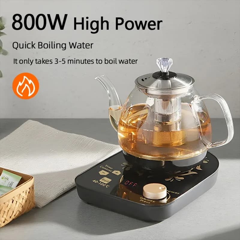800 ml professional multifunctional glass teapot Electric kettle Fast heating Stainless steel filter Beer cooking