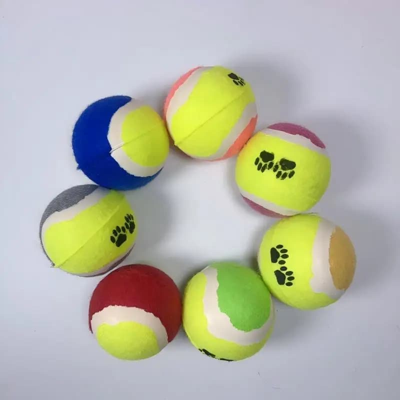 1/3 Pcs Pet Training Toys Fun Training Interactive Cleaning Bite Resistant Relieve Boredom Self Fun with Paw Prints Tennis Ball