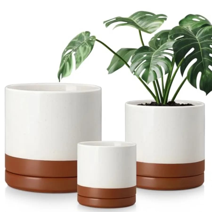 Vasi in Ceramica per Piante da Interno, Set di 3 Vasi da 6.25+8.25+10.25 Pollici con Fori di Drenaggio
