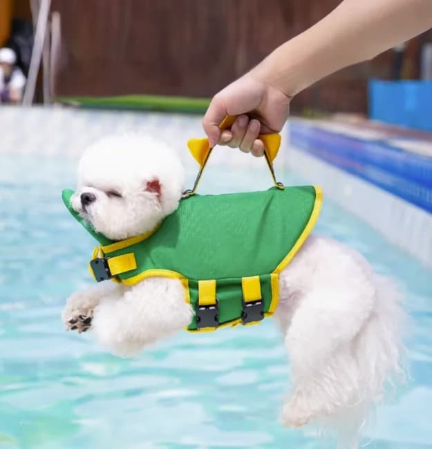 Pet Dog Life Jacket Summer Swimwear Cartoon Dinosaur Buoyancy Vest for Small Medium Dogs with Leash Ring