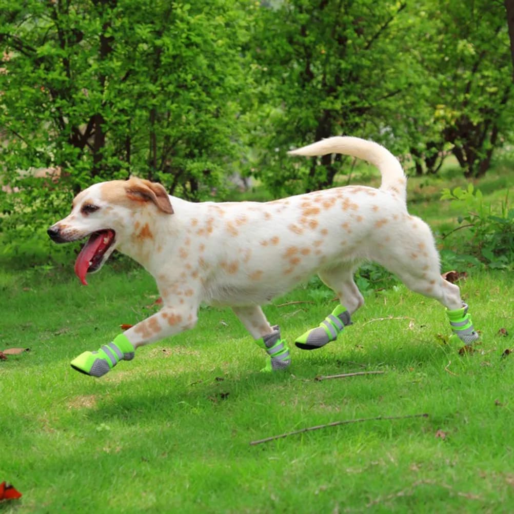 Dog Shoes for Small Medium Dogs Anti-Slip Rubber Sole Hiking Running Boots Outdoor Walking Protection Dry Clean Comfortable