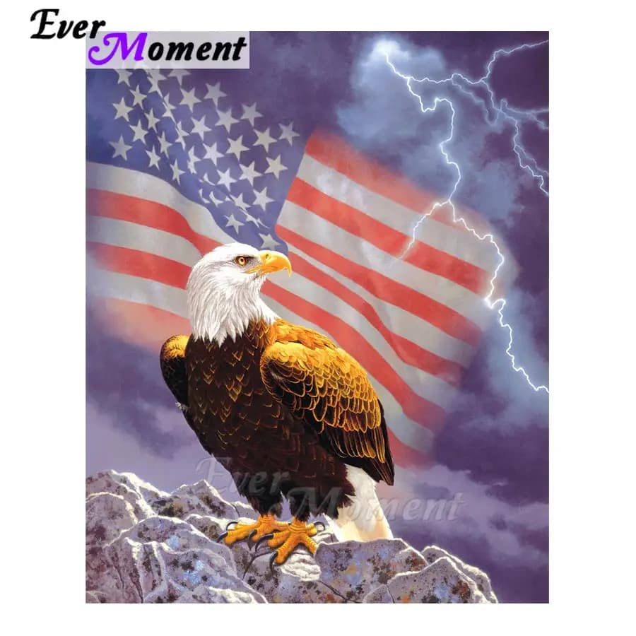 US National Flag and Eagle Paint Diamond Animal Full Kits Handmade Gift Ever Moment Diamond Painting Needlework Picture ASF1069