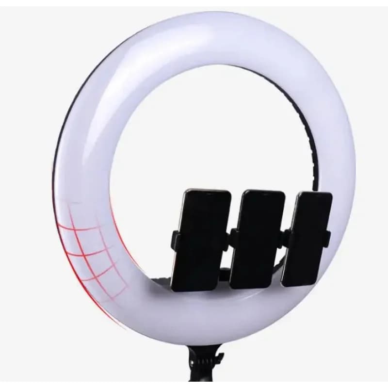 (Spedizione via mare) Luce circolare da 21 pollici con treppiede e supporto per telefono, anello LED dimmerabile a doppio colore 3000K-6000K