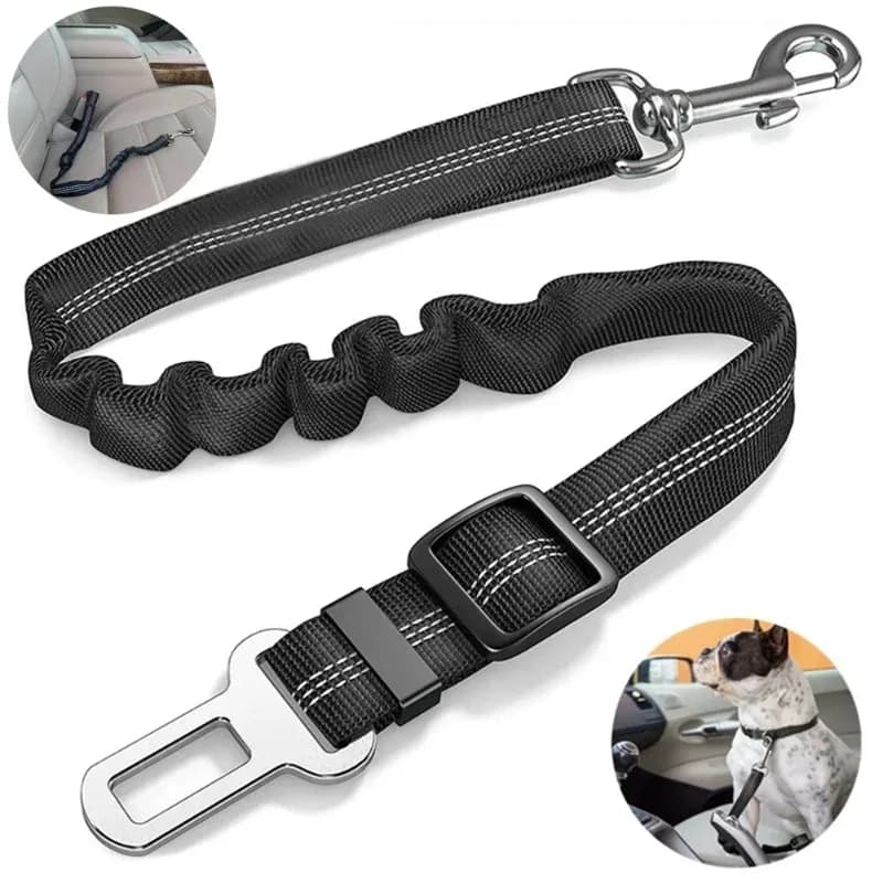 Cinghia di sicurezza per auto per animali domestici, cinghia elastica imbottita per il trasporto di cani, corda di sicurezza elastica per il trasporto di cani