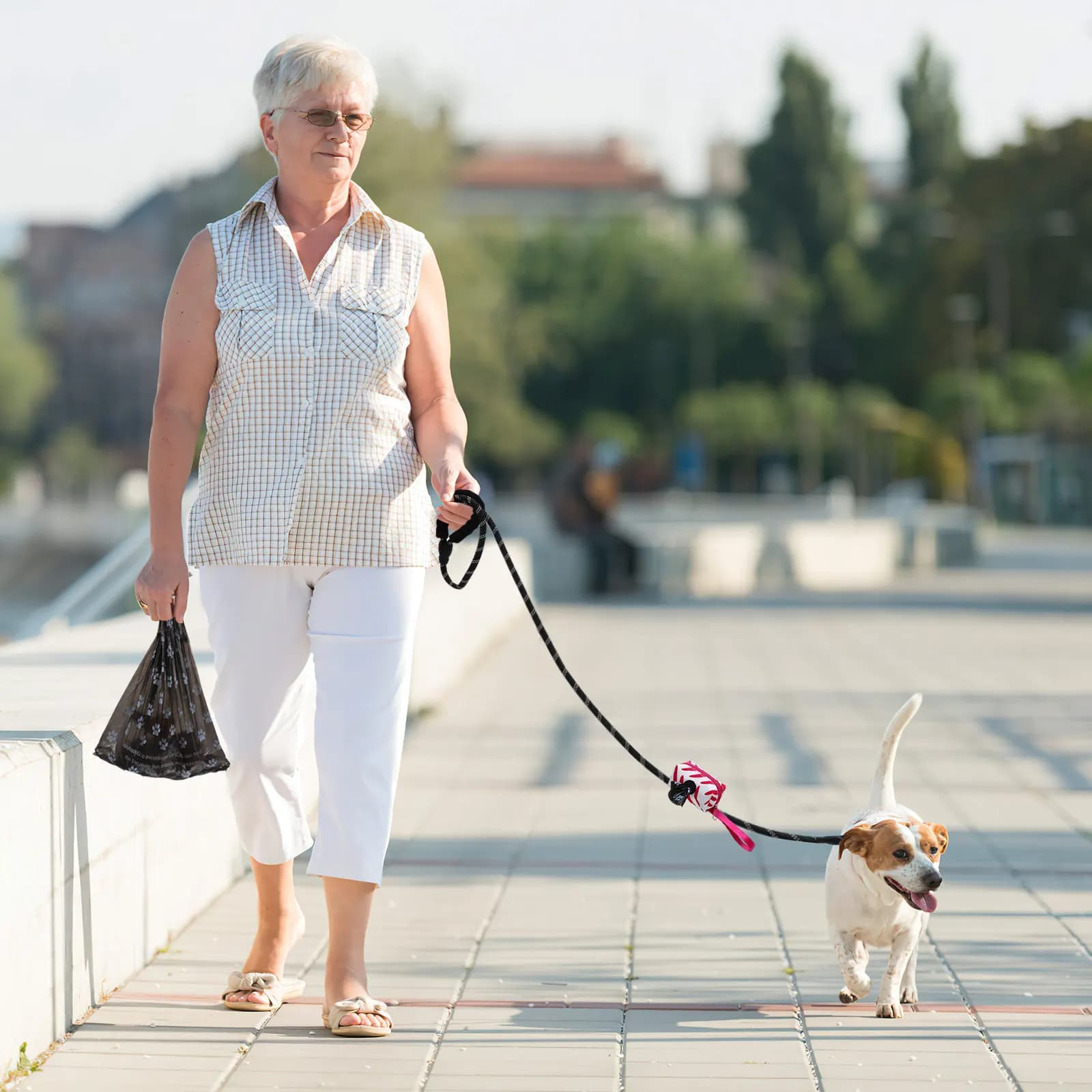 Set Guinzaglio per Cani e Sacchetti per Escrementi in Nylon, Impugnatura Sicura e Confortevole, Dispenser per Sacchetti Incluso