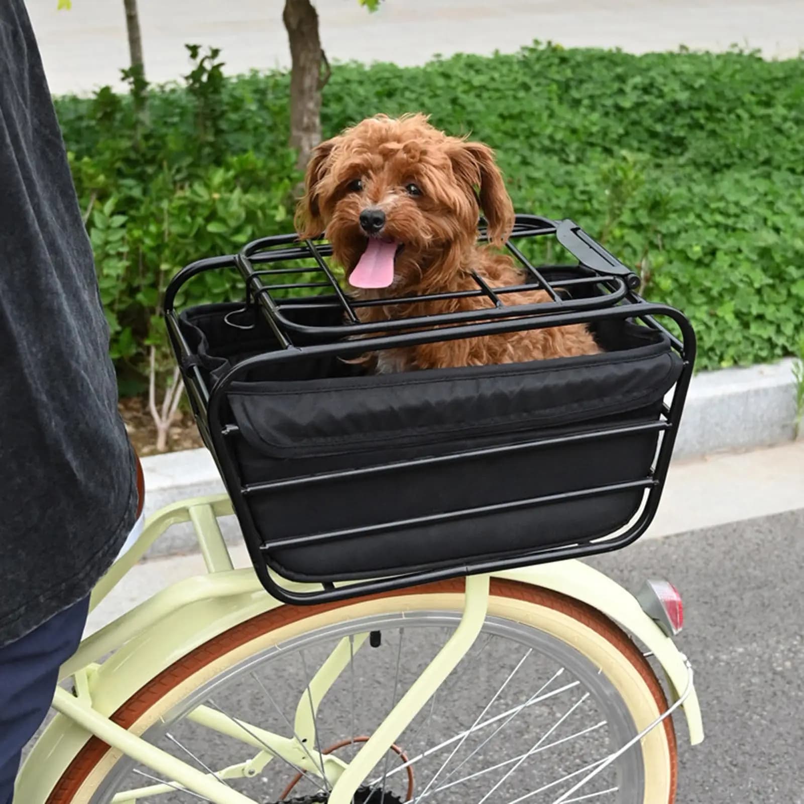 Cestino per Bicicletta in Acciaio al Carbonio, Trasportino Chiuso di Sicurezza per Animali Domestici, Cesto Portaoggetti per Ciclismo su Strada, Urbano e Pendolarismo in Ogni Condizione Atmosferica