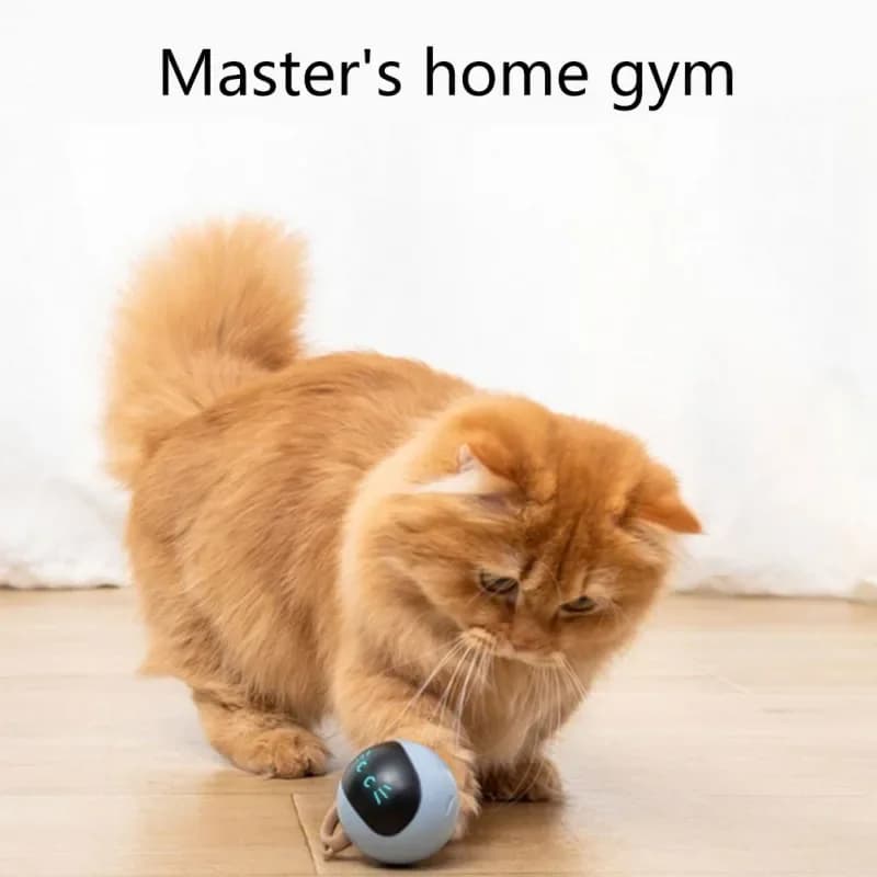 Giocattolo interattivo con palla per gatti, ricaricabile tramite USB, con movimento automatico, palla rotolante, per esercizi per animali domestici, gattino interno, teaser elettrico intelligente, peluche
