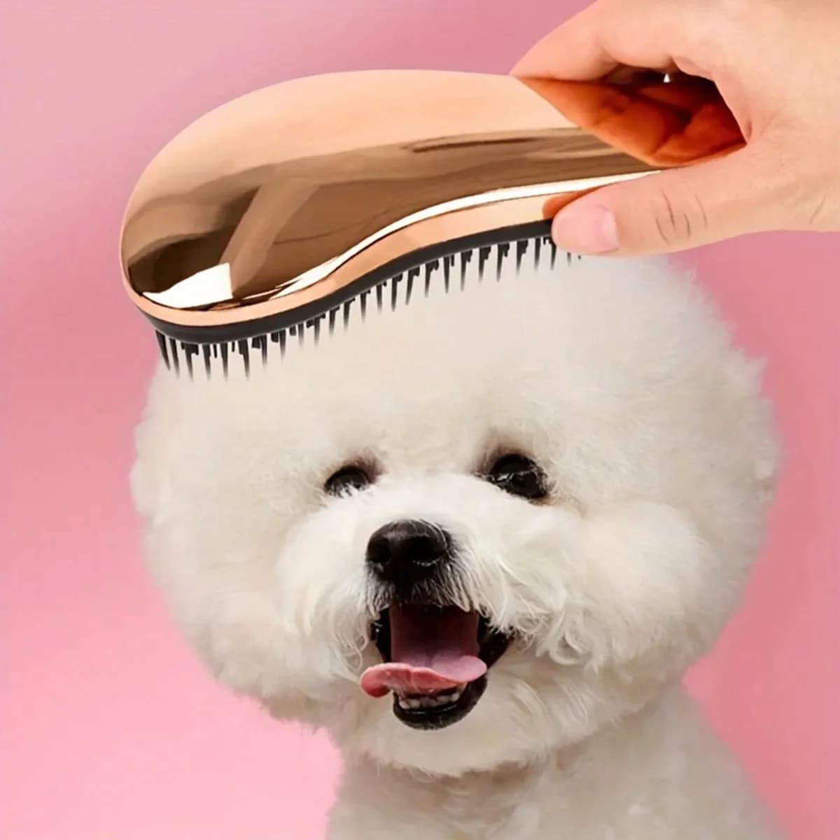 Pettine per toelettatura per cani 2 in 1 e spazzola per massaggio rimuove i peli e rilassa il tuo animale domestico, perfetto per il bagno, design galleggiante per un facile utilizzo