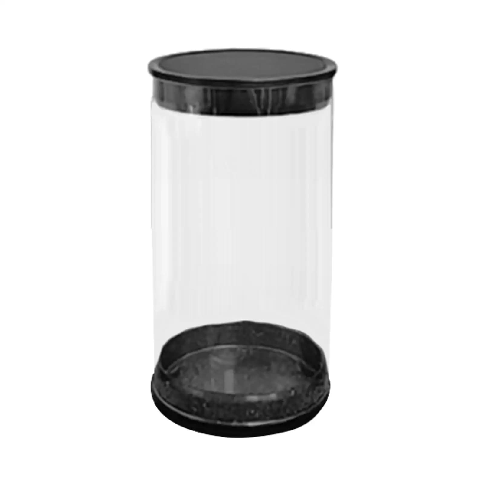 Clear Round Golf Ball Display Tube Easy Fill PC Container Portable Case Golf Equipment Accessory