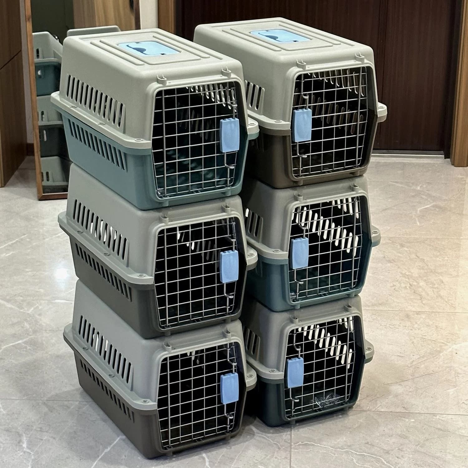 Trasportino Portatile in Plastica per Animali Domestici, Ideale per Viaggi e Auto, Gabbia Universale per Gatti e Cani