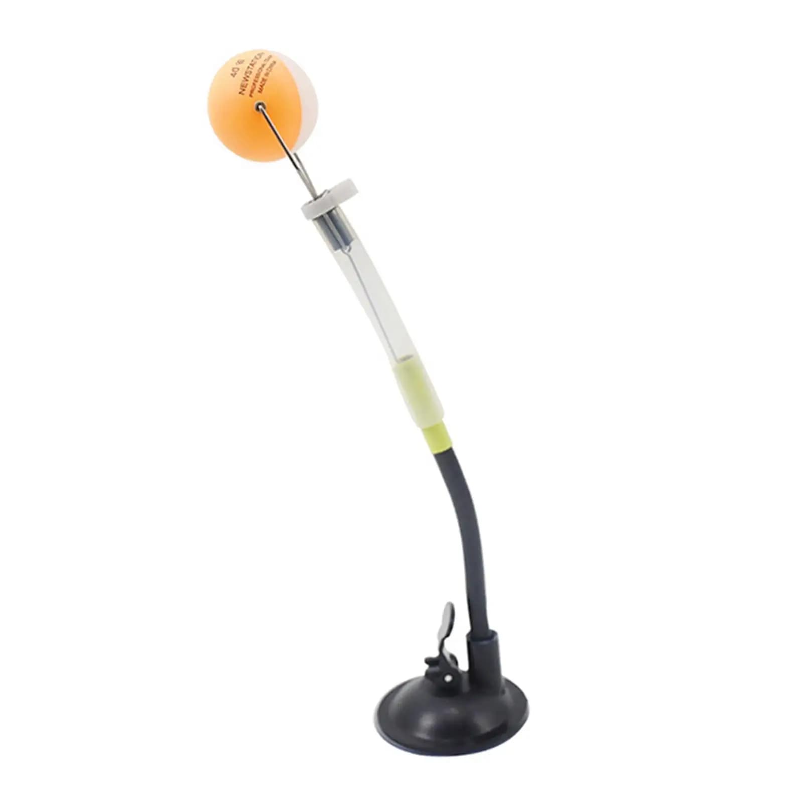 Allenatore per Palline da Ping Pong 29cm, Ausilio Universale per la Pratica dei Colpi