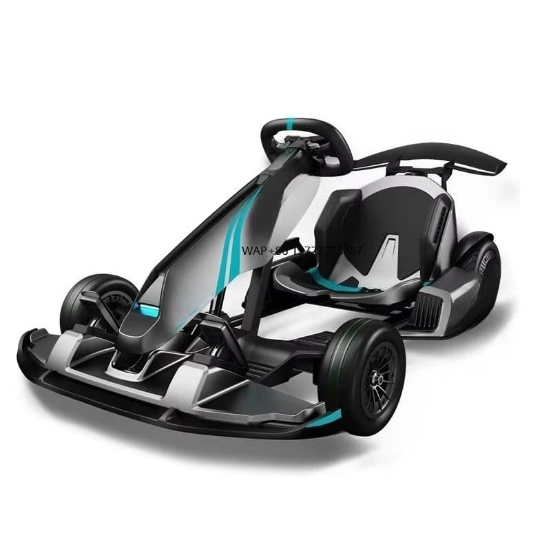 Mini gioco di corse professionale 2400w Go Kart Karting fuoristrada Auto elettrica Adulti Gokart Go Karts
