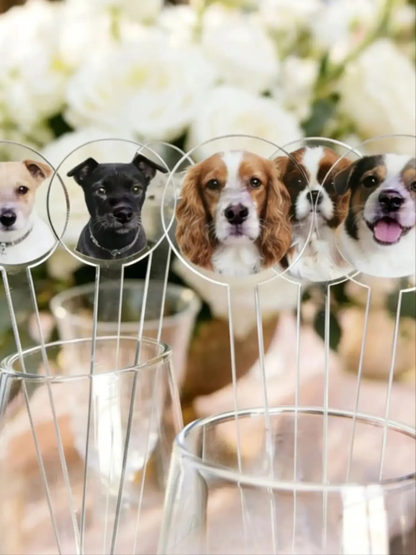 50/100/150pcs Personalized Pet Wedding Stir Sticks Dog or Cat Double-Sided Drink Stirrers Custom Watercolor Party Photo Sticks