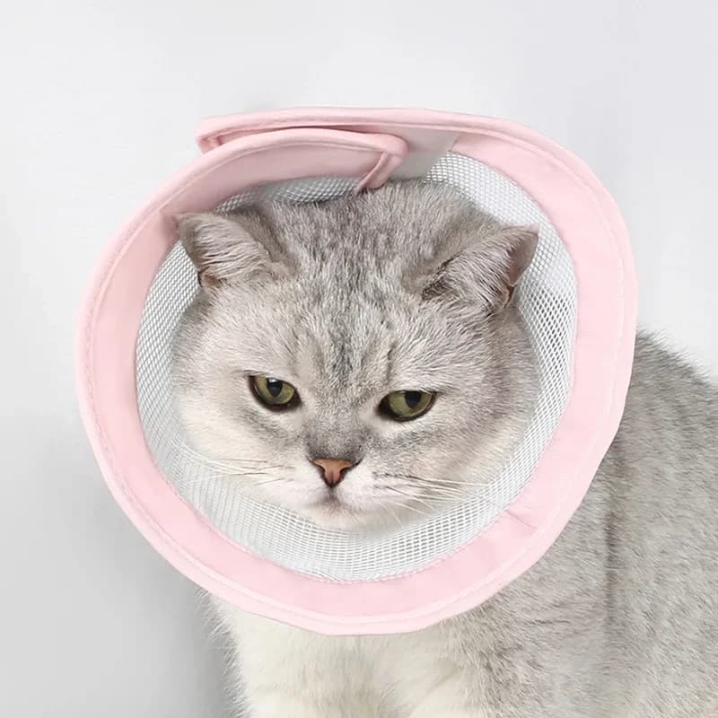 Pet Cat Dogs Health Recovery Elizabethan Cotton Filling Collar Protective Medical Cone E- Collar for Dog and Cat Pet Collar