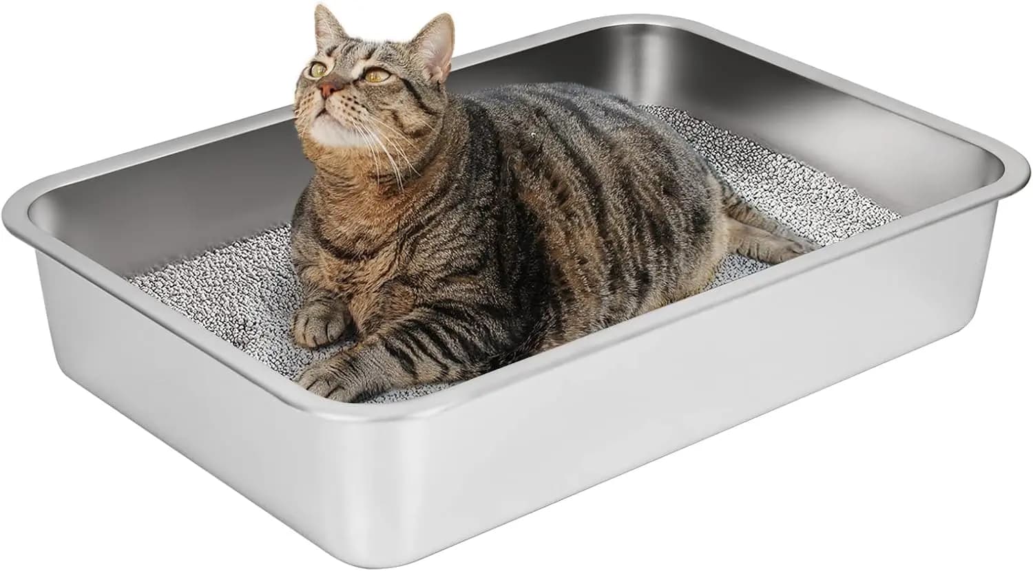 Lettiera per Gatti Grande in Acciaio Inossidabile, Inodore, Antiruggine, Superficie Antiaderente con Fondo Antiscivolo, 23.5x15.5x4 Pollici