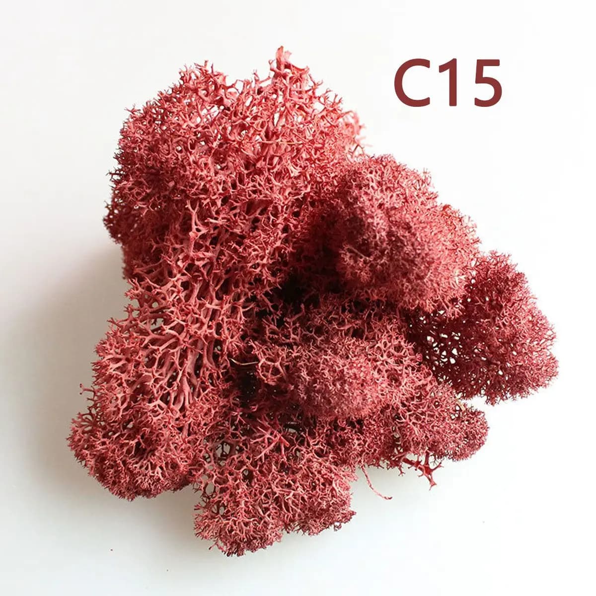 Accessories Garden Wedding Flower Decoration Home Decor Artificial plant Micro Landscape Eternal Life Moss Reindeer Moss