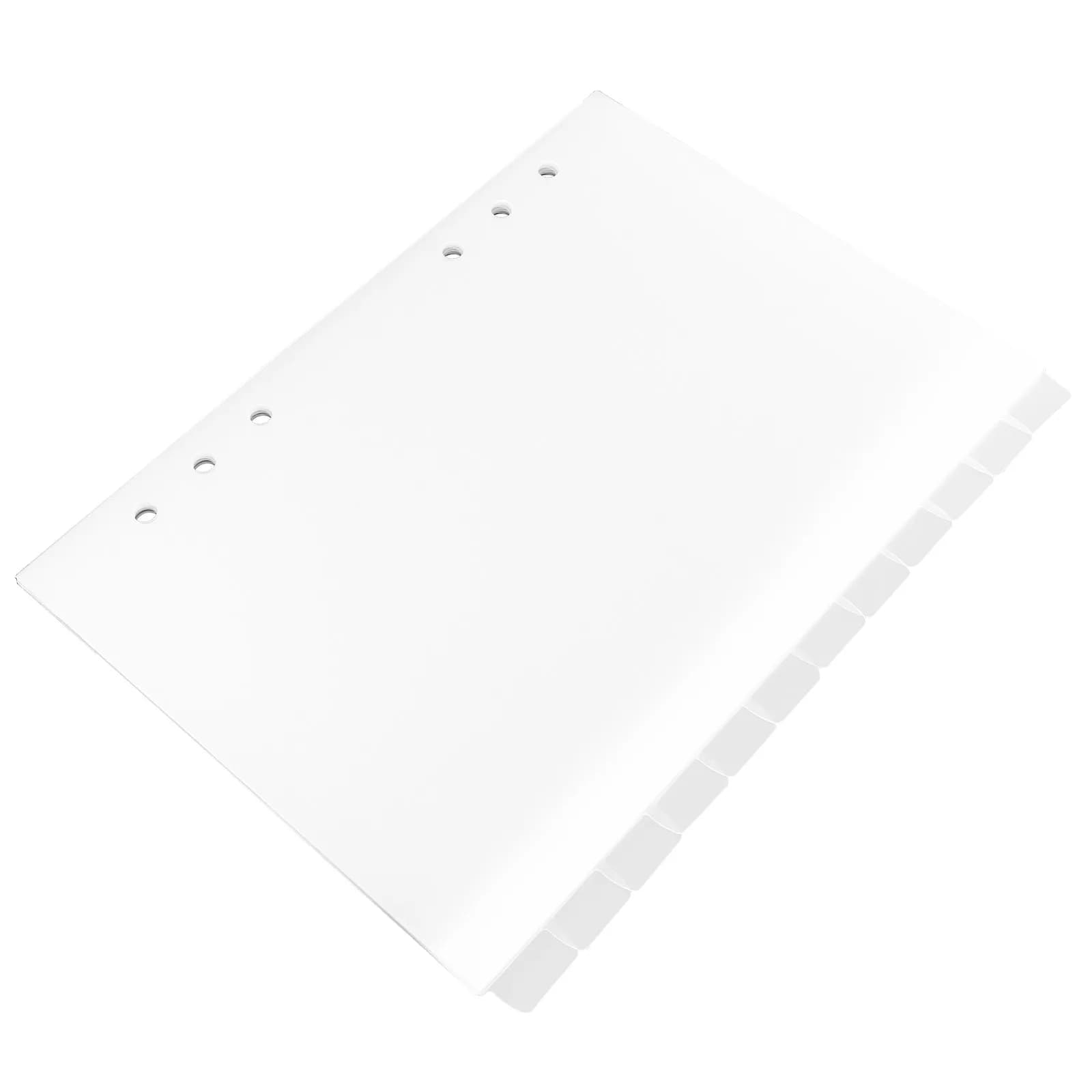 12 Etichette Classificatrici in Plastica Traslucida per Organizzazione Raccoglitori, Quaderni, Documenti, Libri, Agende, Report