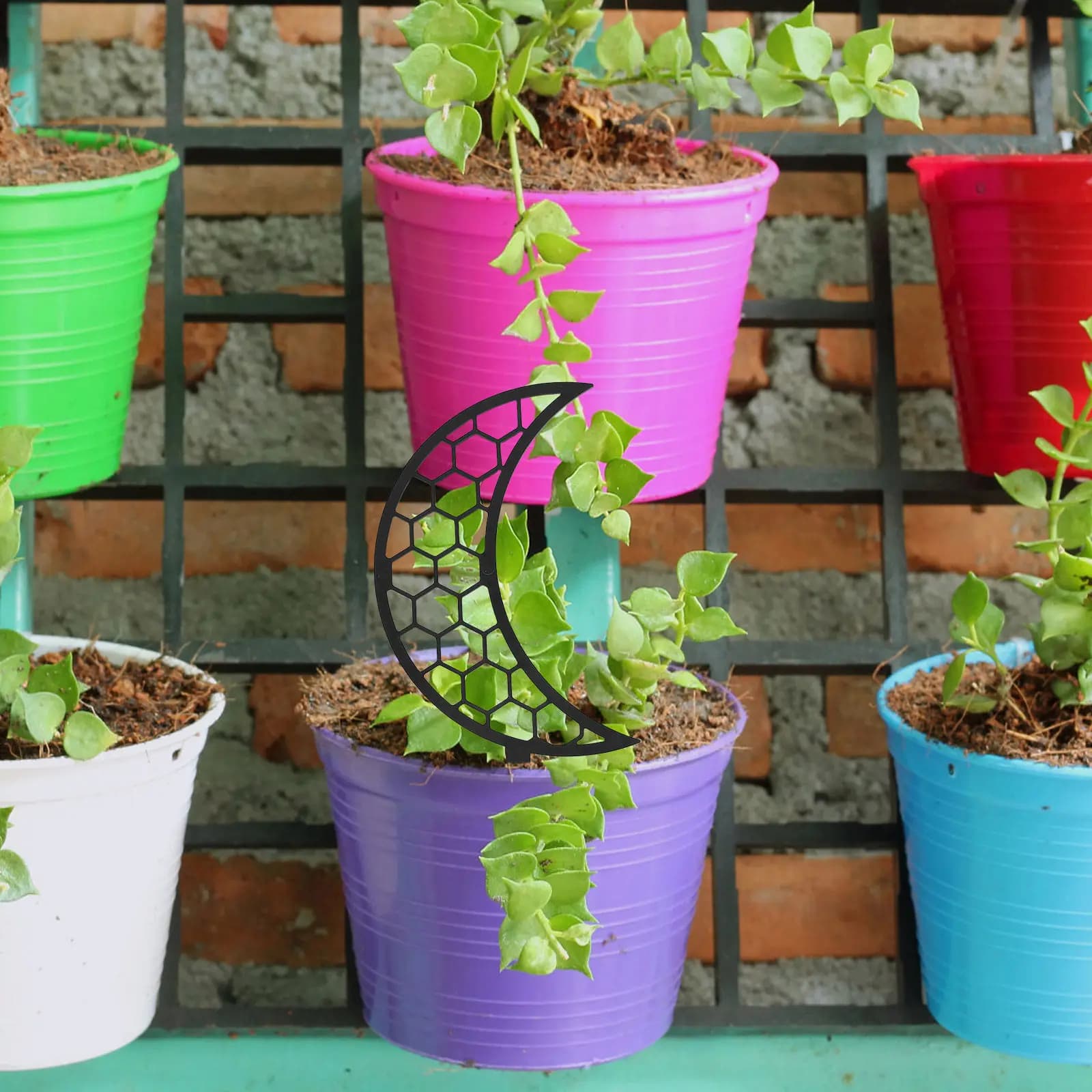 2 Pieces Support for Moon Shaped Rampants Plants, PP Material, Easy to Install, for Plants in Vase, Traliccio per Viti, Giardino Interno e Esterno