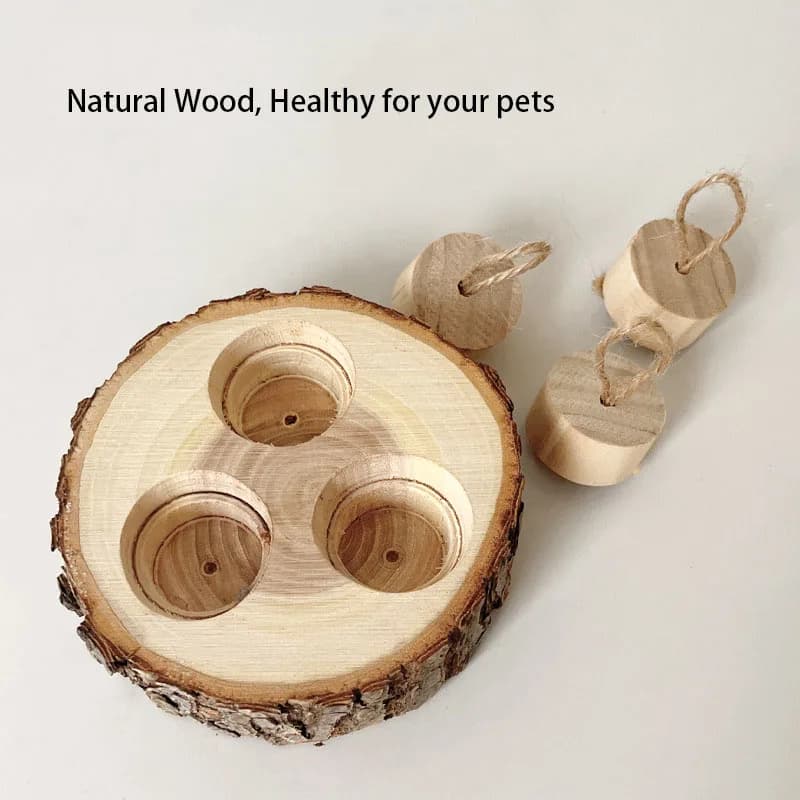 Giocattolo per criceti in legno Criceto Orso dorato Foraggiamento Rosicchiare i denti Corda per morso di legno Scatola per snack Forniture per paesaggistici per criceti