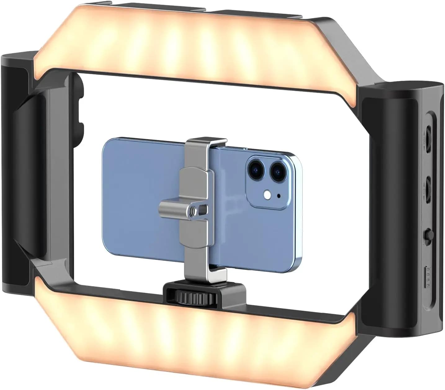 Rig Video per Smartphone con Luce e Telecomando per Riprese, Stabilizzatore Portatile con Impugnatura e Attacco Cold Shoe
