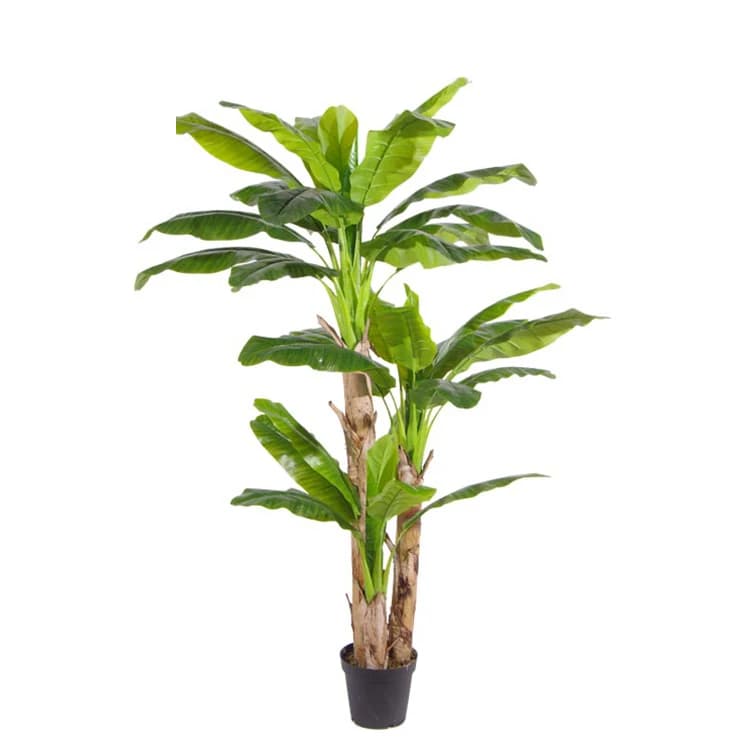 Pianta Artificiale di Foglie di Banana da 2,2m
