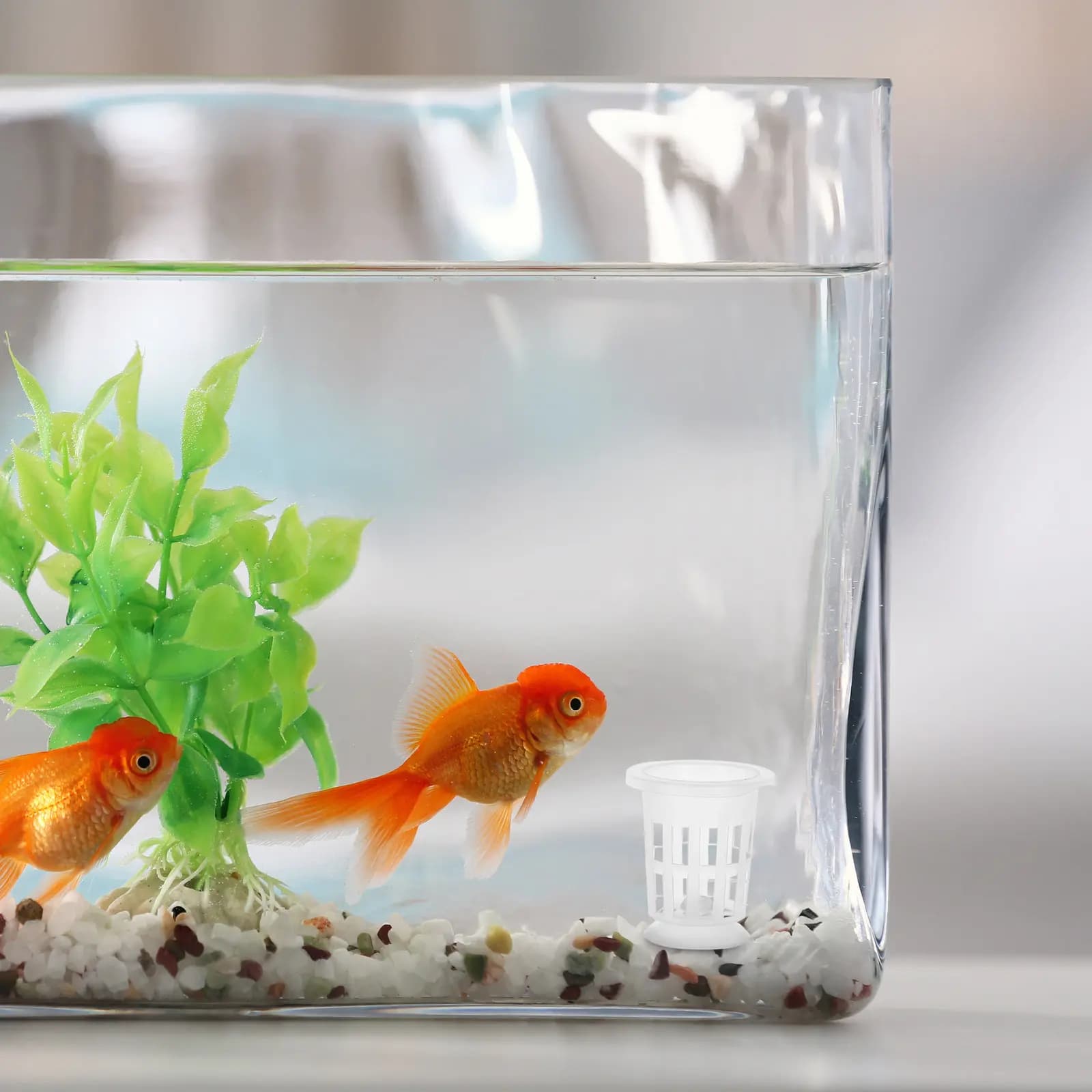 Set di 1 Vaso a Rete Idroponico per Acquario con Ventosa, Supporto per Piante a Rete, Vaso da Giardino a Rete per Sistema Idroponico, Aria per le Radici, Contenitori per Piante