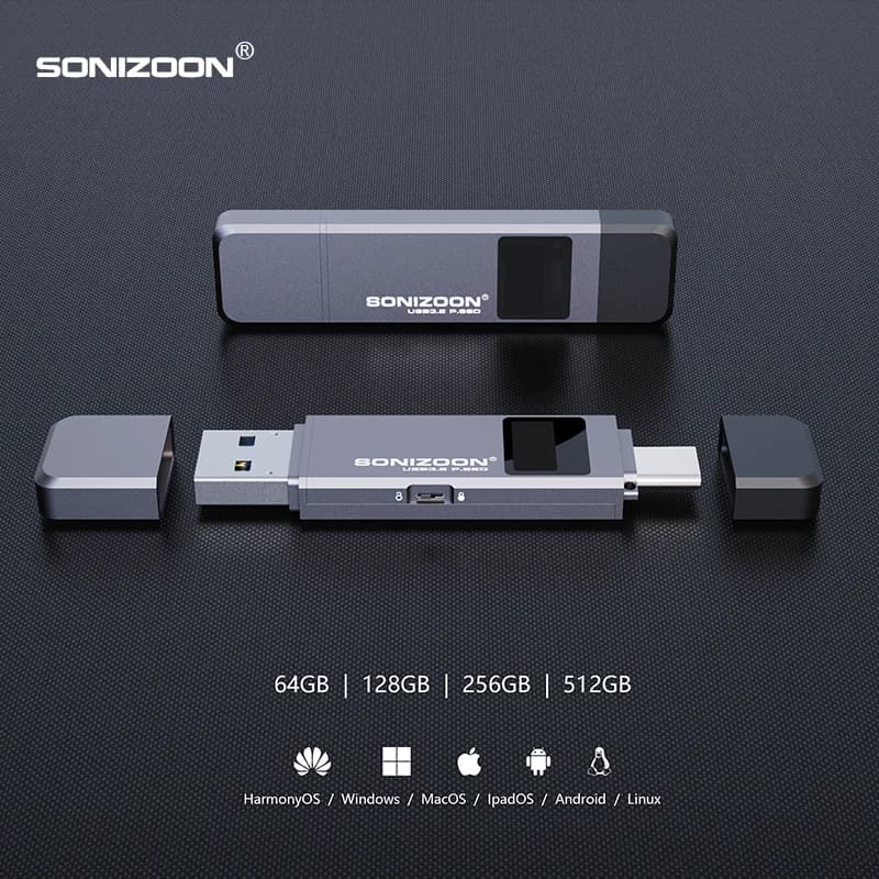 Crittografia delle impronte digitali SSD portatile 128/256/512GB Funzione di protezione della scrittura Chiavetta USB a stato solido TPYEC3.2 Pen Drive USB3.2