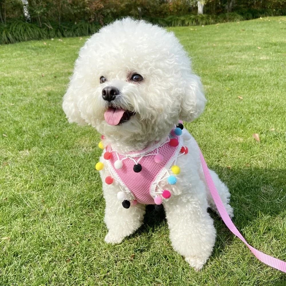 Pettorina Regolabile per Cani, Traspirante in Rete, Anti-Fuga, con Palline Colorate, Comoda Imbracatura per Animali Domestici con Guinzaglio