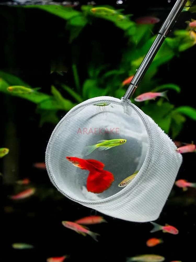 Rete da pesca telescopica estensibile in acciaio inossidabile 3D per la pulizia di pesci ornamentali, pesci rossi e acquari