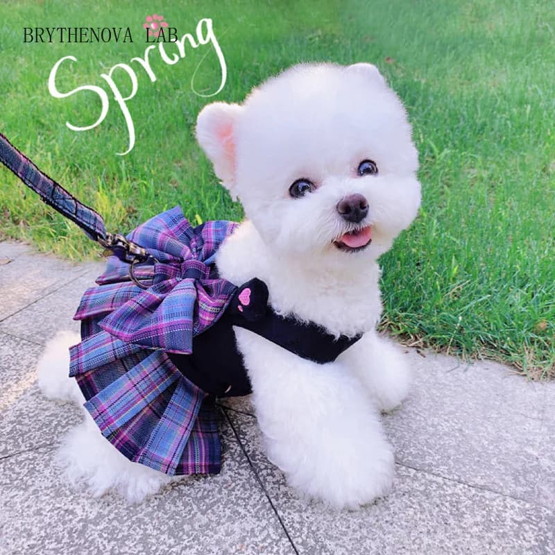Pet Dog Cat Clothes Summer Spring Dog Dress with Harness Chihuahua Leash Bichon Cute Skirt for Small Dogs Luxury Puppy Dresses