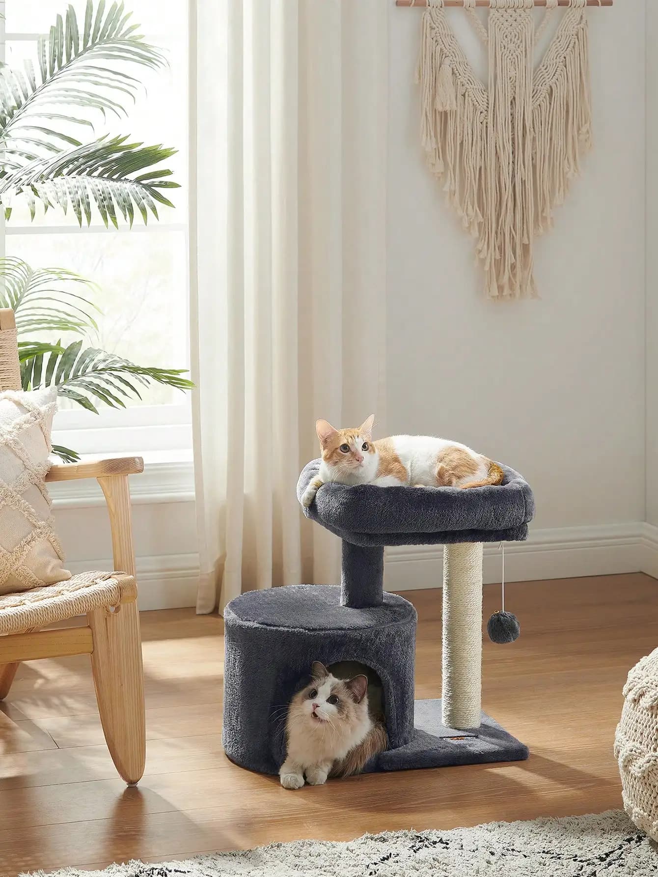 Albero per gatti, torre per gatti con tiragraffi rivestito in sisal, cuccia per gatti con posatoio imbottito, per piccoli spazi, gattini