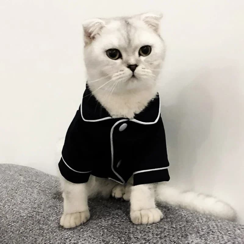 Costume Natalizio per Gatti, Abbigliamento Invernale per Felini, Felpa con Cappuccio per Sphynx, Vestiti per Animali Domestici