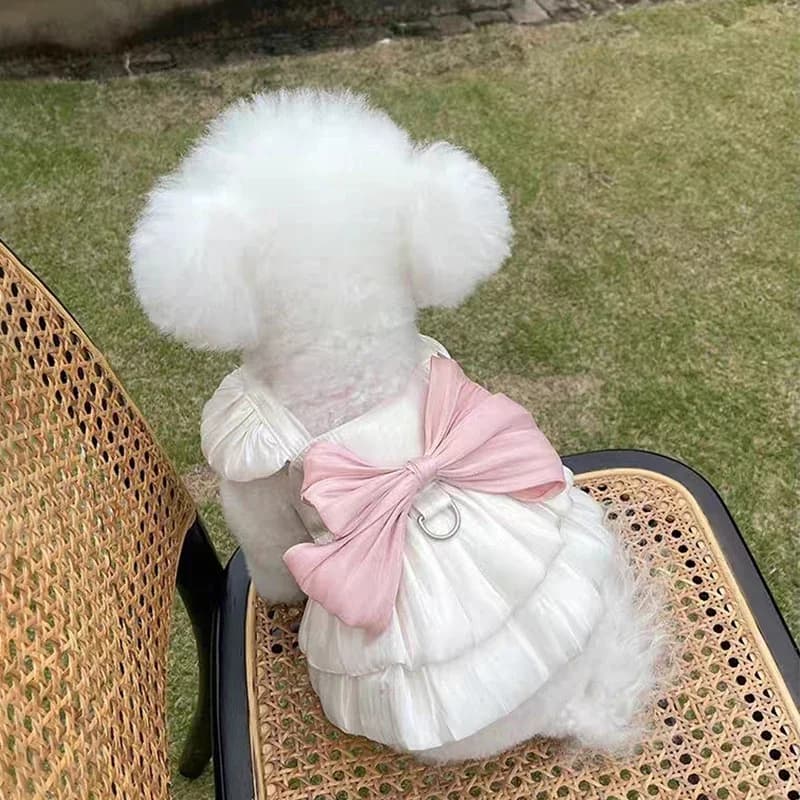 Wedding Dress Skirt for Pets Summer Thin Bear Teddy Dress with Leash Buckle Princess Style Dog Clothes Raincoat