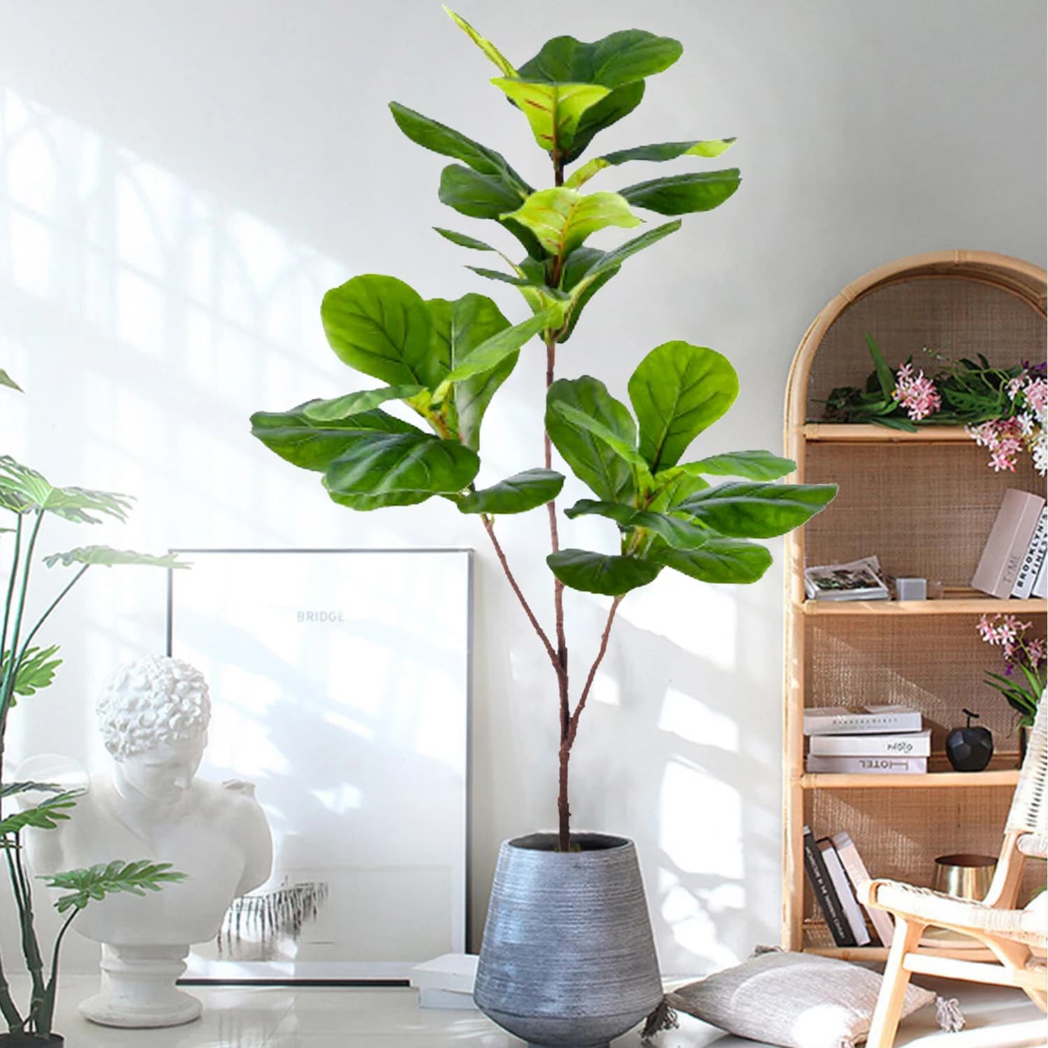 Artificial Plant of Ficus Lyrata (Fiddle Leaf) from 77-135 cm (53.1 inches) for Decoration of Courtyards, Gardens, Balconies, Interior of Houses and Offices