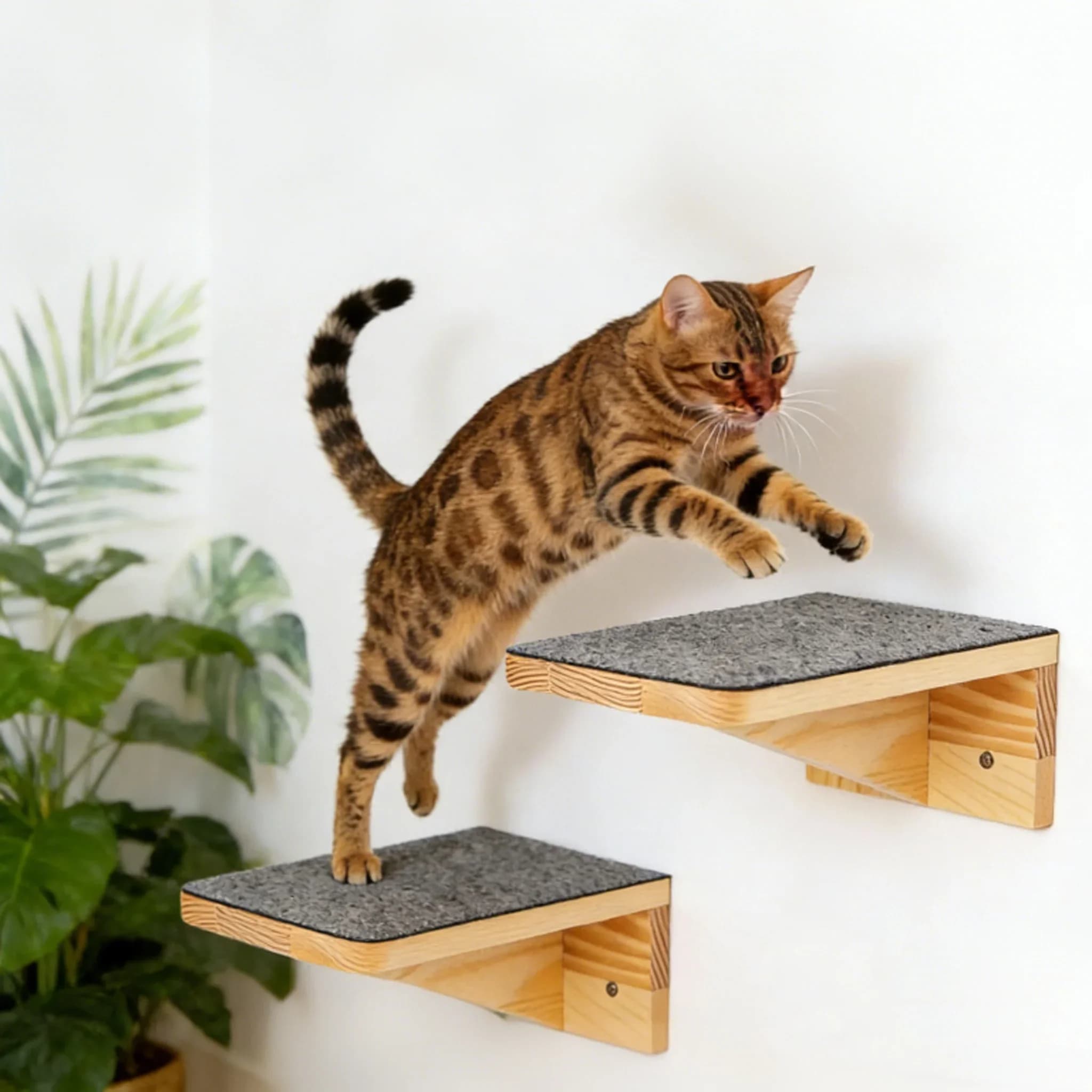 Mensola a Parete per Gatti con Cuscino Morbido, Letto per Gatti da Interno, Arredamento per Gatti per Gattini e Gatti Adulti, per Arrampicarsi, Dormire e Giocare