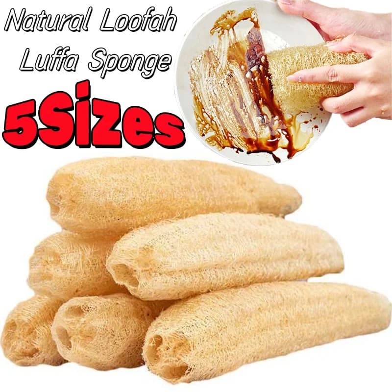 Luffa naturale Spugna Luffa Biodegradabile Spugna per pulizia forte Lunga antiaderente Artefatto per lavare i piatti Spazzola per pentole Asciugamani