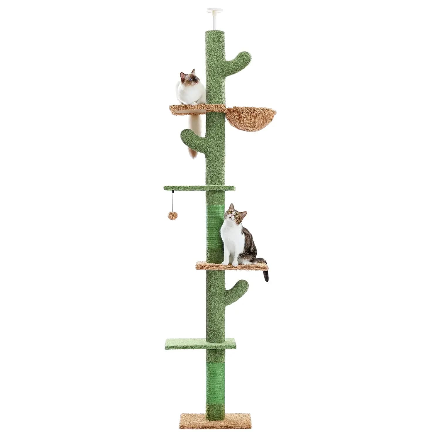 Albero per Gatti, Torre per Gatti a Forma di Cactus da Pavimento a Soffitto con Altezza Regolabile (95-108 Pollici), Torre per Arrampicata per Gatti a 5 Livelli, Personalizzabile