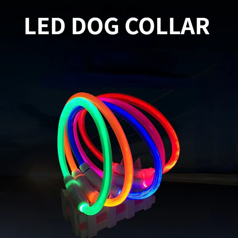 Collare luminoso per animali domestici a LED collare di ricarica USB Teddy collare Anti smarrimento accessori per cani e gatti forniture