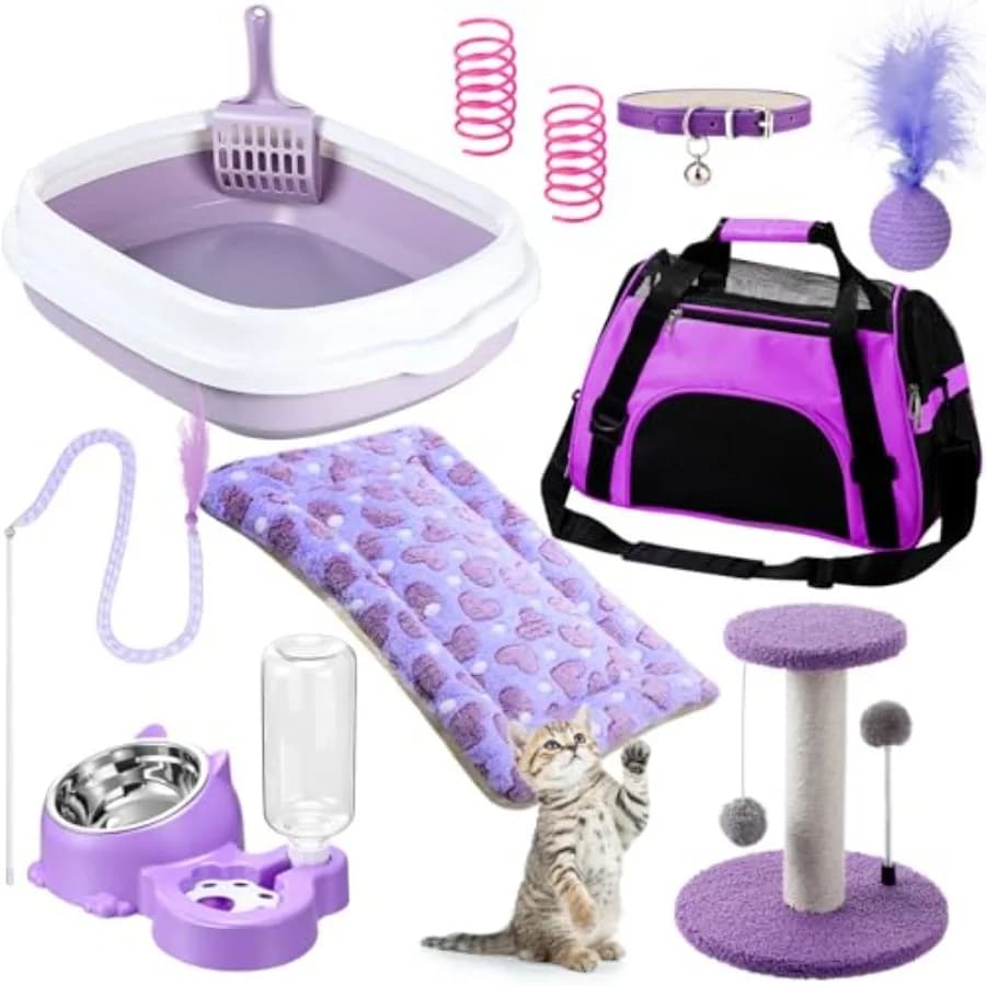 Kit Essenziale per Gattini 10 Pezzi per Gatti da Interno Viola Include Lettiera Giocattolo per Animali Domestici Trasportino Pieghevole Tappetino per Arrampicata