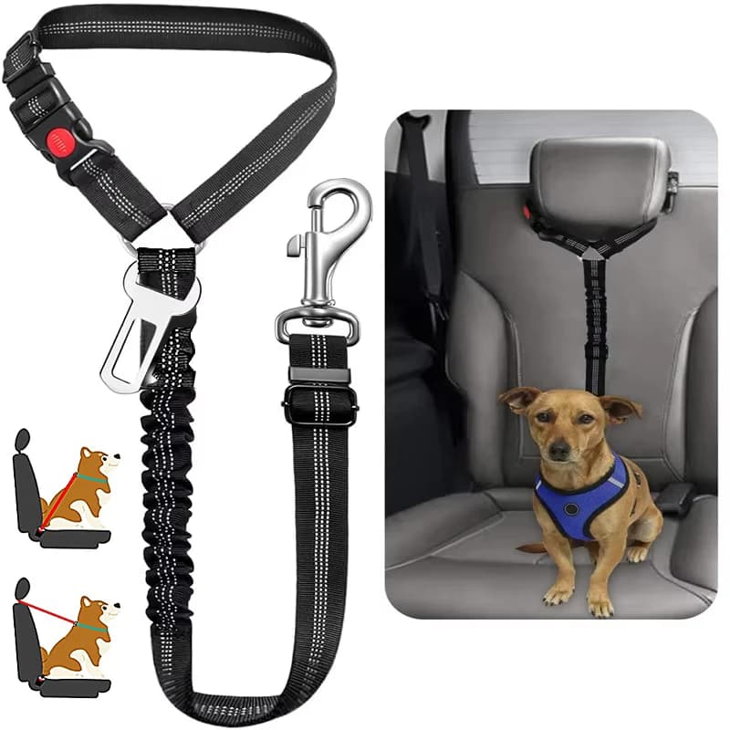 Guinzaglio e Imbracatura 2 in 1 per Cani, Cintura di Sicurezza per Auto, Elastica e Resistente, Regolabile per Gattini e Cani, Accessorio per Animali Domestici