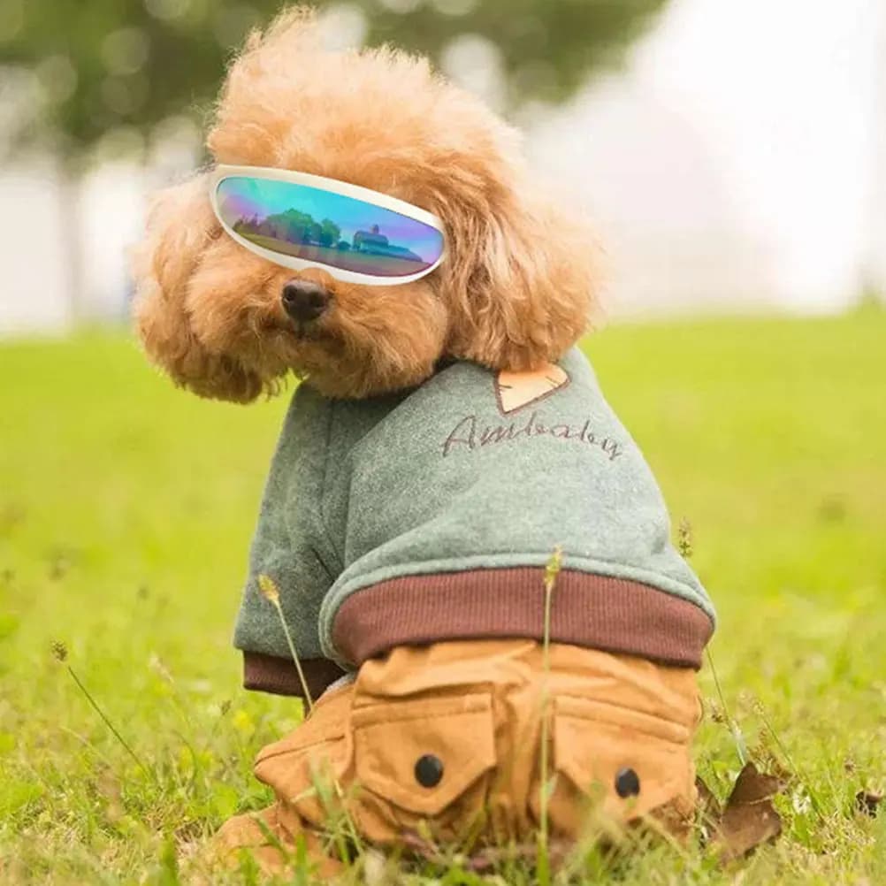 Dog Sunglasses Small Breed Cat Glasses Windproof Pet Goggles Uv Protection Comfort Fit for Skiing Climbing Swimming Photography
