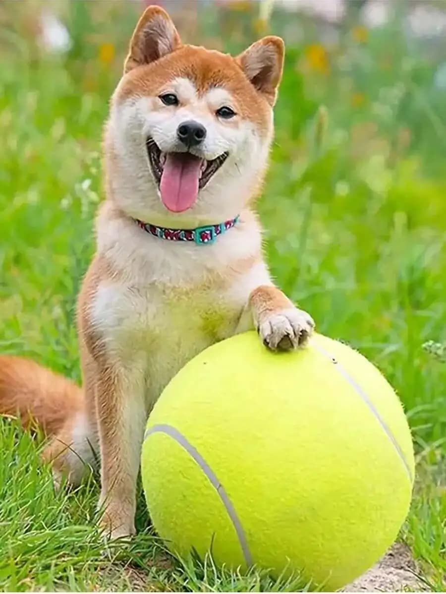 24cm Large Pet Tennis Ball For Dogs Training Interactive Toy