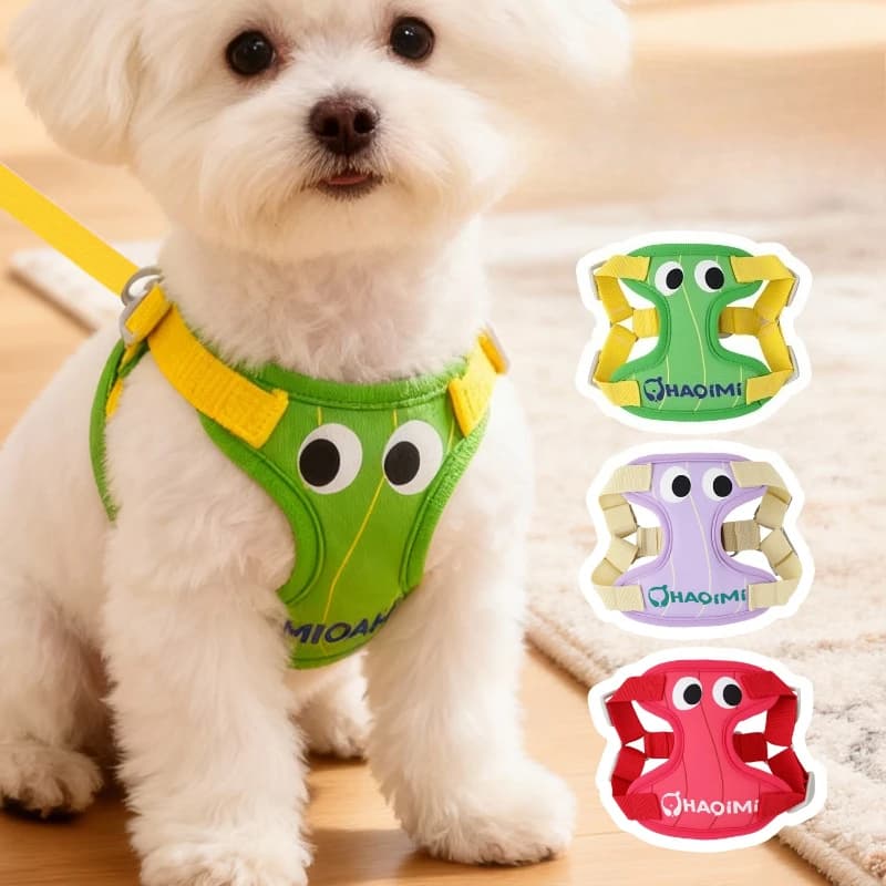 Guinzaglio per cani, Pettorina per cani con occhi grandi e simpatici, Pettorina per gatti anti-fuga regolabile per viaggi all'aperto, Accessori per cuccioli