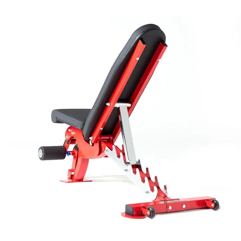 Personalized Fitness Commercial Gym Bench, Adjustable Training Bench with Weights and Manubris, Existing Abdominal Bench