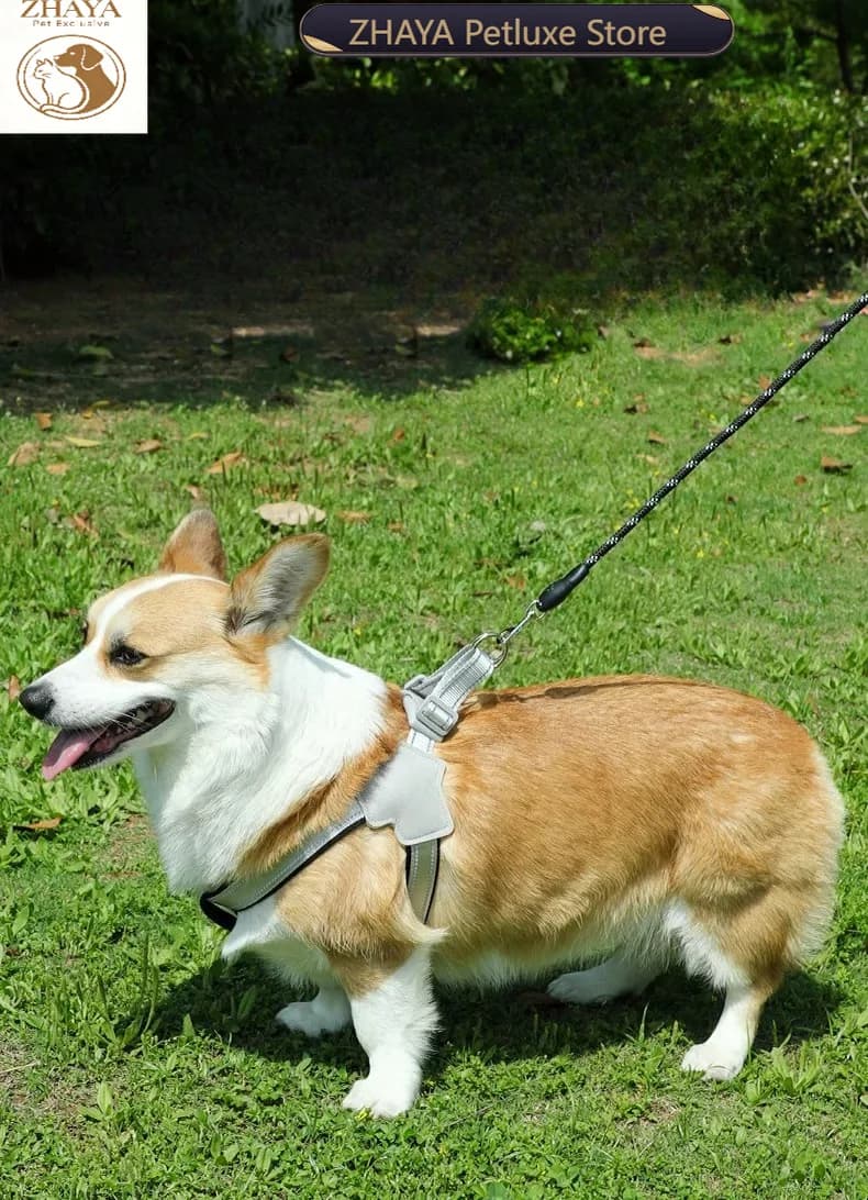 ZHAYA Dog Harness and Leash Set Y Shape Vest Style Breathable Soft Anti Choke Adjustable Durable Pet Walking Single Rope